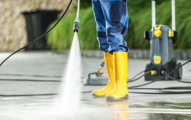 Best Seasonal Cleaning Services in Troy, PA